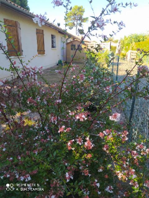 Villa Nancea Maison Arcachon 居让梅斯特拉 外观 照片